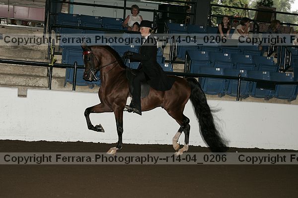 Proof r14-04_0206