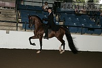 r14-04_0206 proof