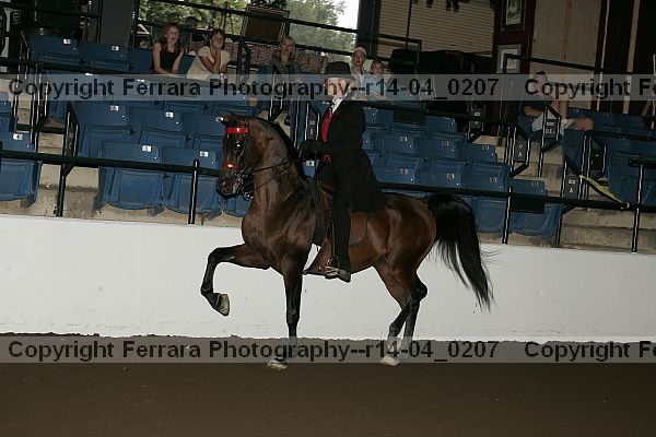 Proof r14-04_0207