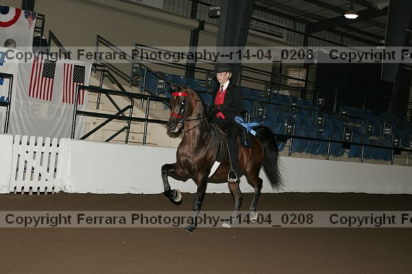 Proof r14-04_0208