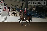 r14-04_0208 proof