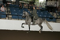 r14-04_0209 proof