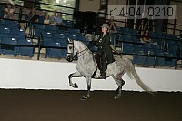 r14-04_0210 proof