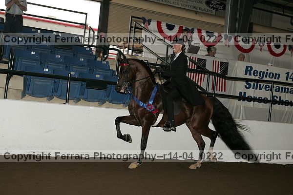Proof r14-04_0222