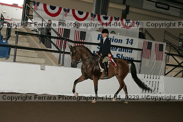 Proof r14-04_0229