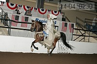 r14-04_0230 proof