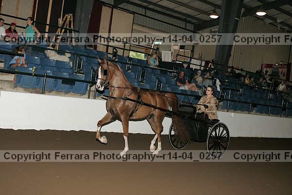 Proof r14-04_0257