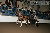 r14-04_0257 proof