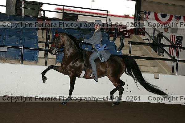 Proof r14-04_0261