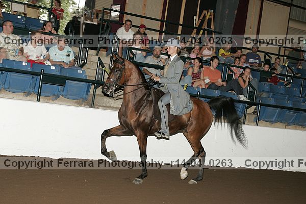 Proof r14-04_0263