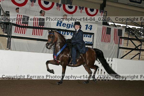 Proof r14-04_0266