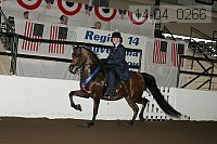r14-04_0266 proof