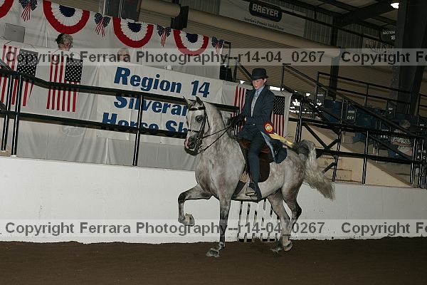 Proof r14-04_0267