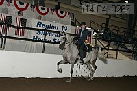 r14-04_0267 proof