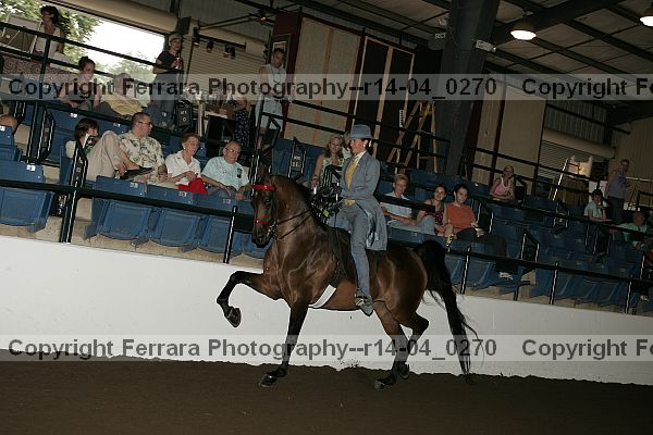Proof r14-04_0270