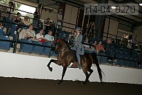 r14-04_0270 proof