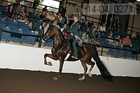 r14-04_0271 proof