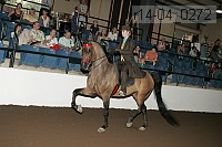 r14-04_0272 proof