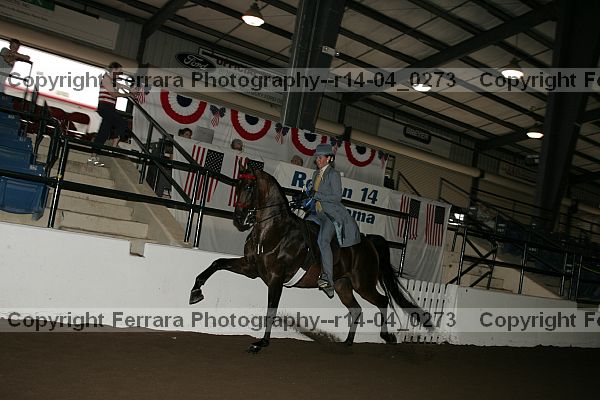 Proof r14-04_0273