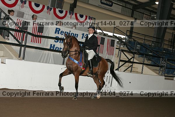 Proof r14-04_0274