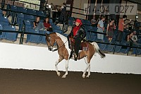 r14-04_0277 proof