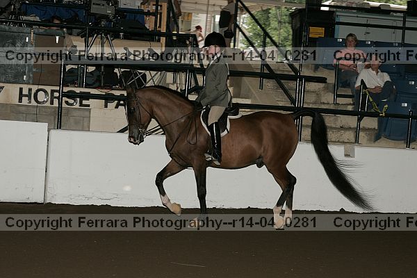 Proof r14-04_0281