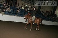 r14-04_0288 proof