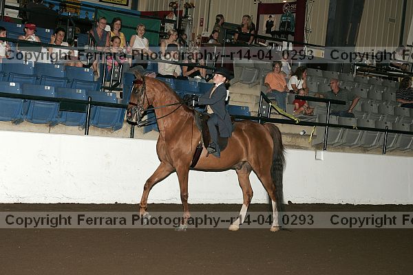 Proof r14-04_0293