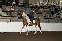 r14-04_0294 proof