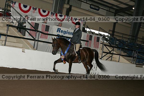Proof r14-04_0300
