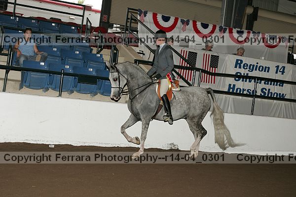 Proof r14-04_0301