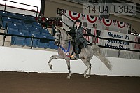 r14-04_0302 proof