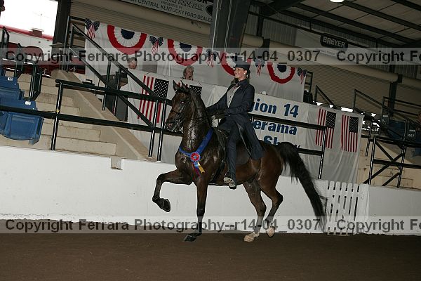 Proof r14-04_0307