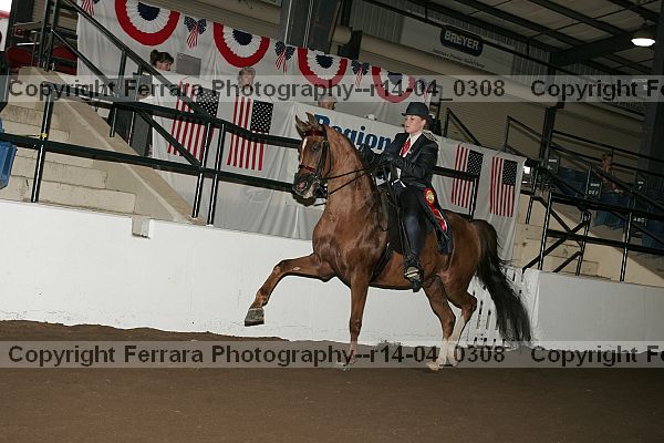 Proof r14-04_0308