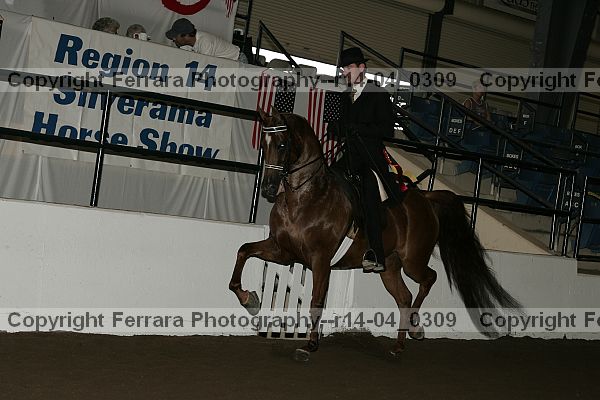 Proof r14-04_0309