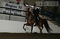 r14-04_0309 proof