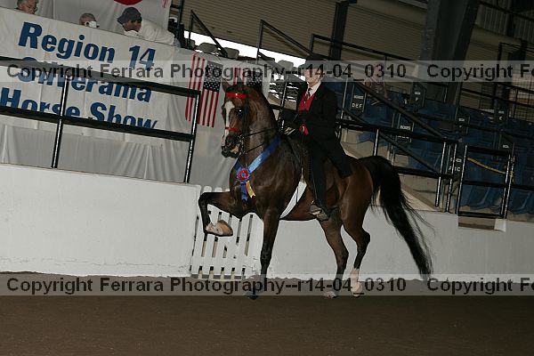 Proof r14-04_0310