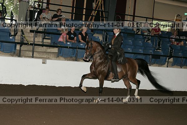 Proof r14-04_0311