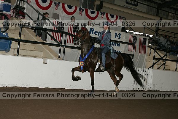 Proof r14-04_0326