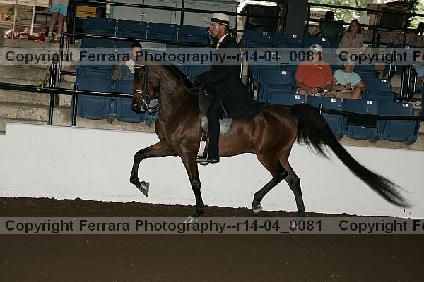 Proof r14-04_0081