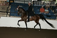 r14-04_0081 proof