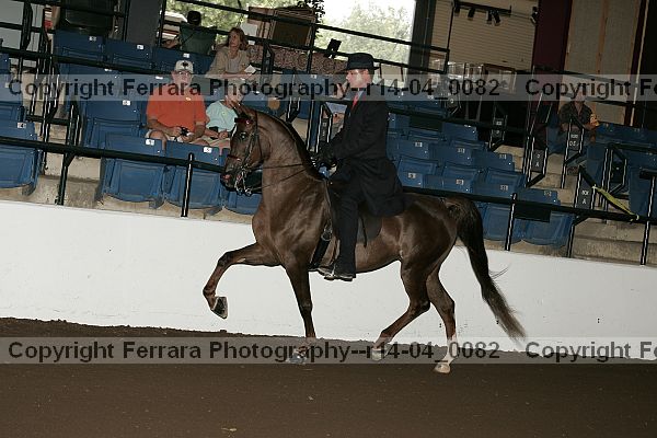 Proof r14-04_0082