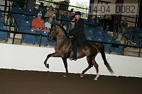 r14-04_0082 proof