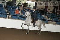 r14-04_0084 proof