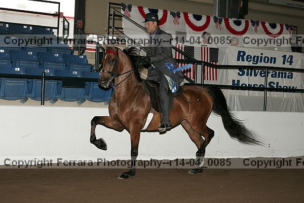 Proof r14-04_0085