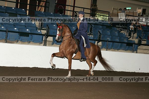 Proof r14-04_0088