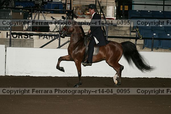 Proof r14-04_0095