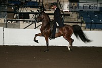 r14-04_0095 proof