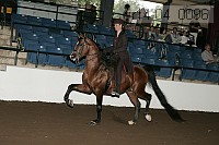 r14-04_0096 proof