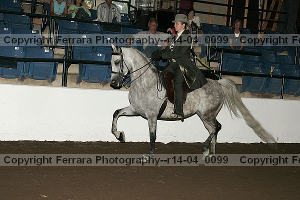 Proof r14-04_0099